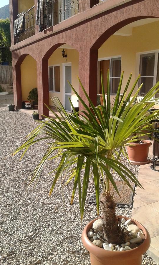 Guest House Amra New Athos Buitenkant foto